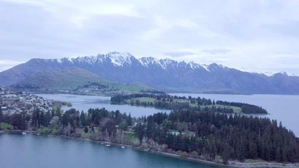 What is it like being a Jamaican in New Zealand?