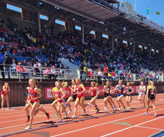 Praises Heaped on Jamaican Athletes after Superb Performances at 2022