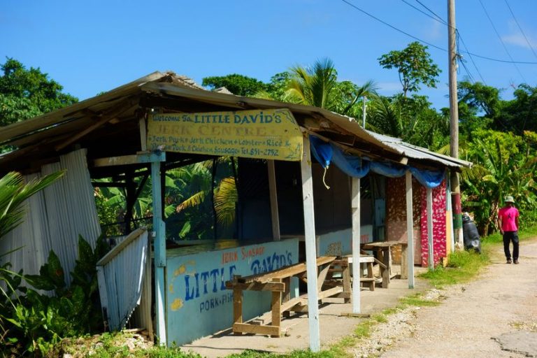 Robyn Hall on How to Vacation Like a Local in Jamaica Boston Bay