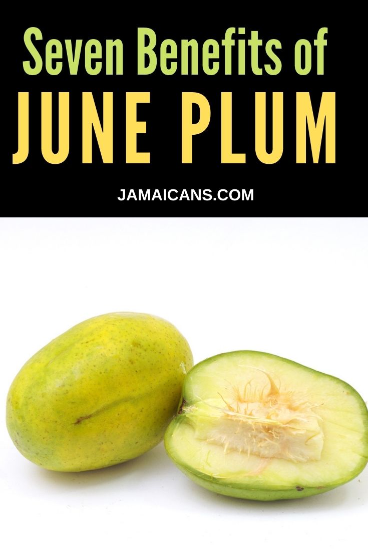 Seven Benefits of June Plum