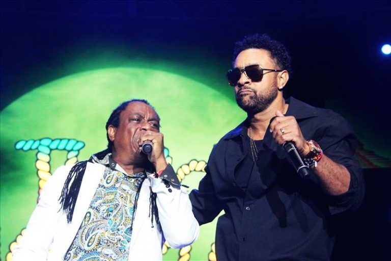 Shaggy and friends 2018