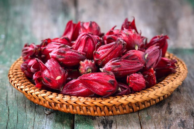 Sorrel Listed among 2022s Top 10 Food Trends