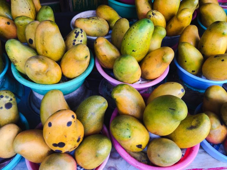 South Florida Supermarkets, Bravo and Presidente to sell Julie & East Indian Mangoes from Jamaica
