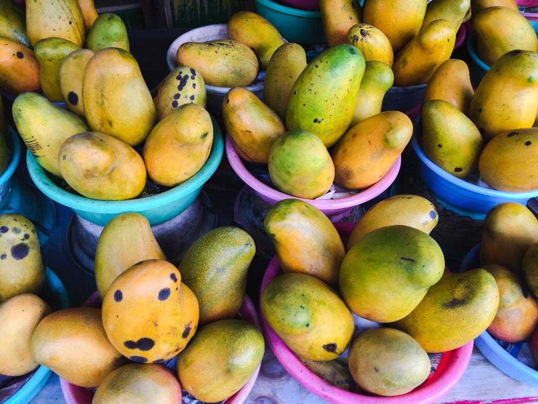 South Florida Supermarkets, Bravo and Presidente to sell Julie & East Indian Mangoes from Jamaica