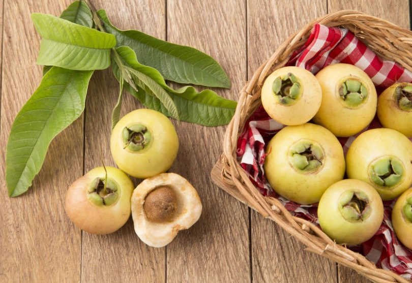 The 10 Benefits of the Rose Apple you Need to Know