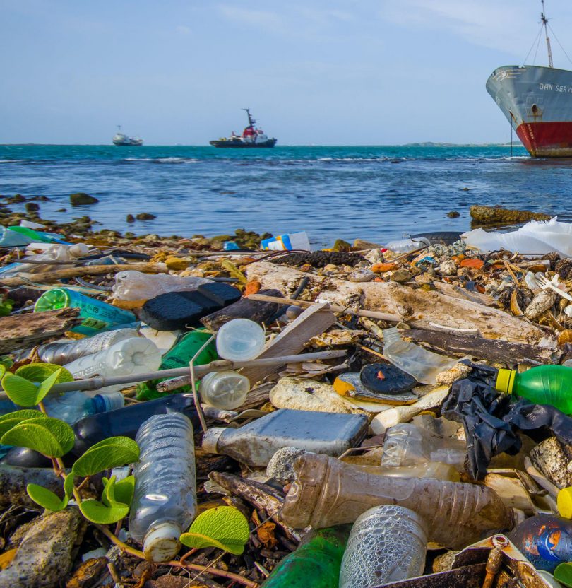 The Ocean Cleanup Awards $1 Million (USD) to help in Cleaning up Kingston Harbor, Jamaica