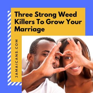 Three Strong Weed Killers To Grow Your Marriage pn