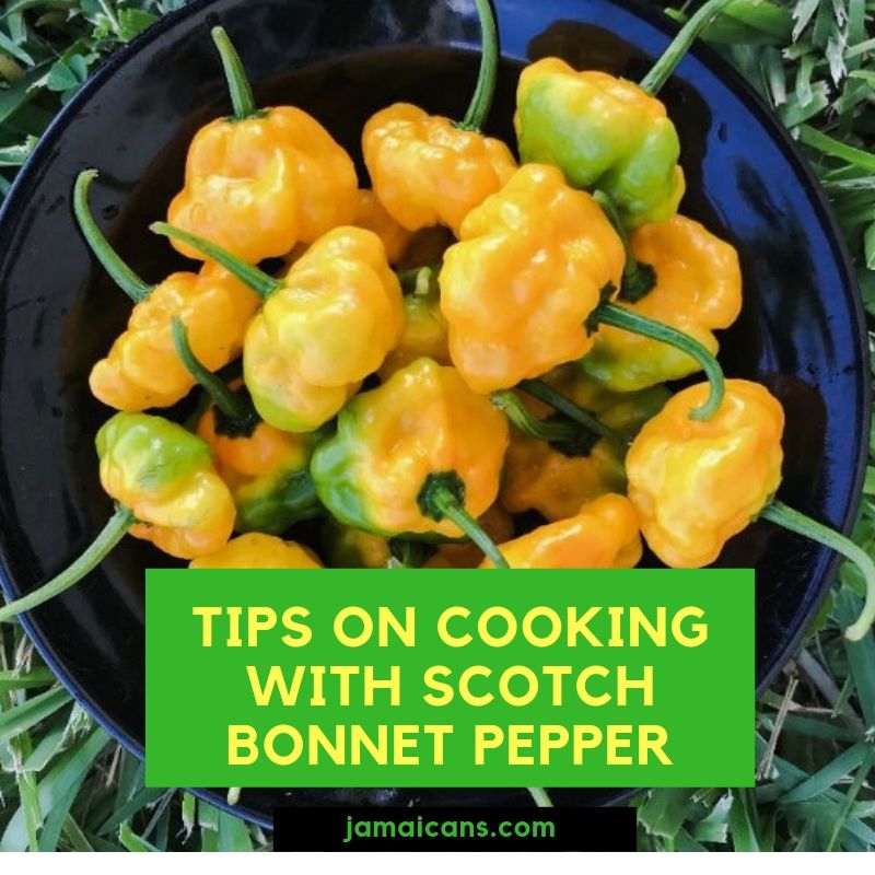 Tips on Cooking with Scotch Pepper