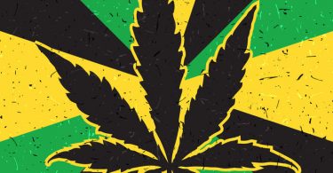 Top 10 Jamaican Business News Stories medical marijuana industry in Jamaica