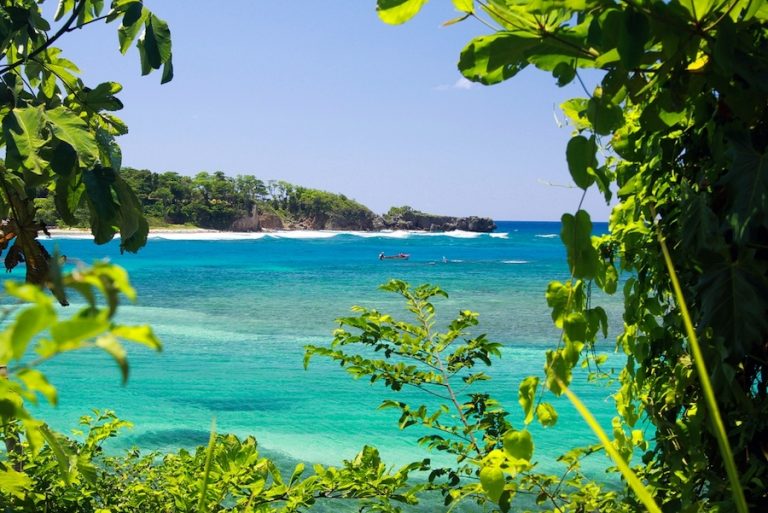 Tourism in the Pandemic How can the Jamaica Diaspora help