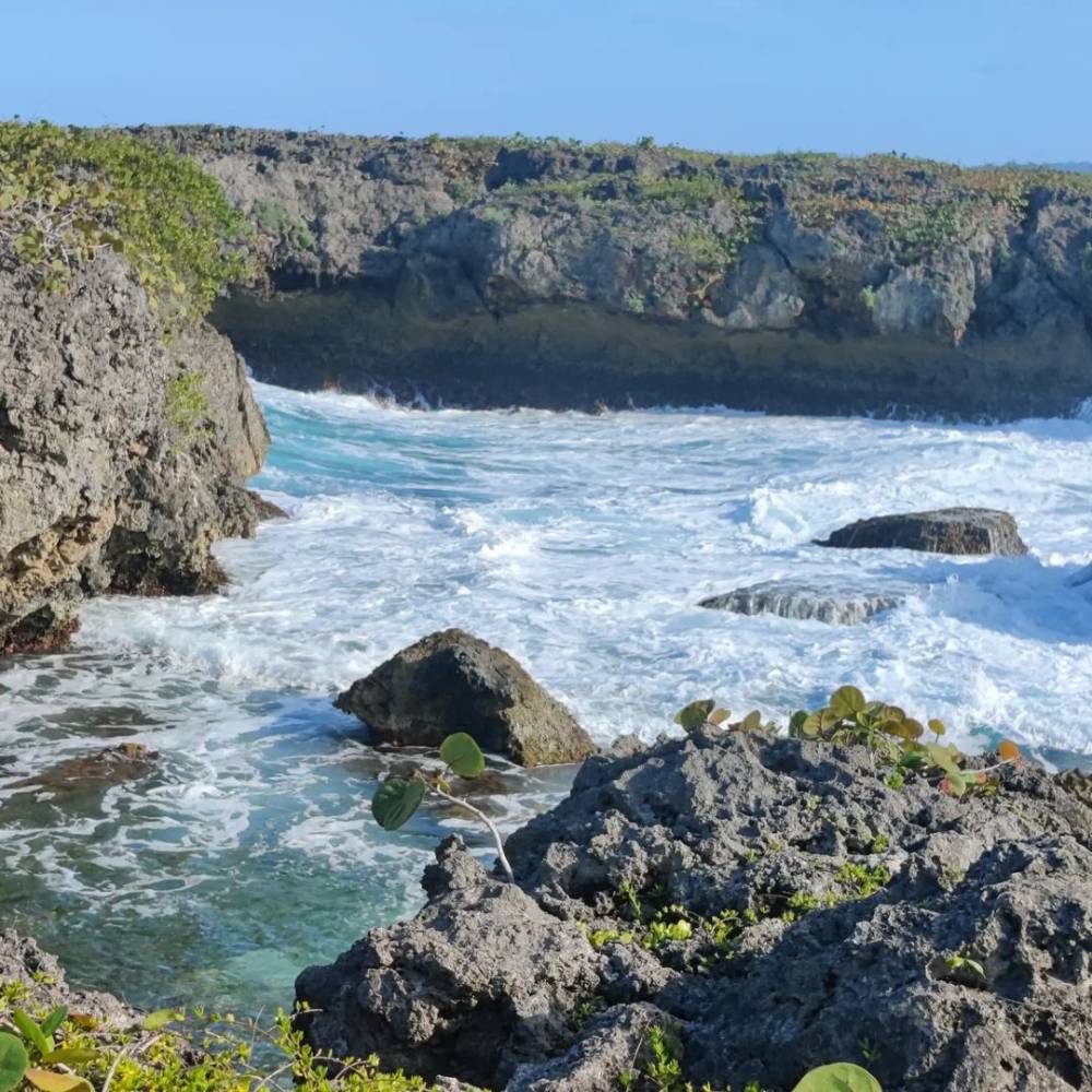 Turtle Bay Cove in Manchioneal Portland Jamaica