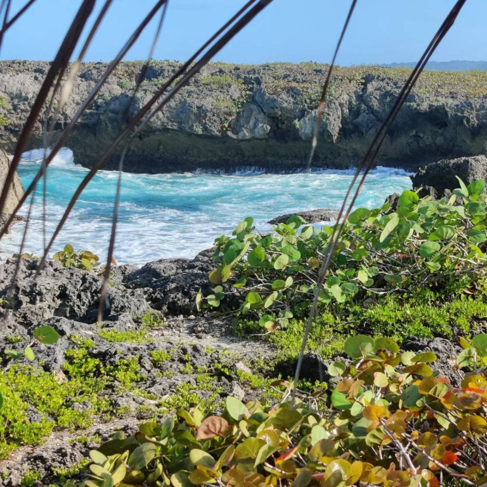 Turtle Bay Cove in Manchioneal Portland Jamaica