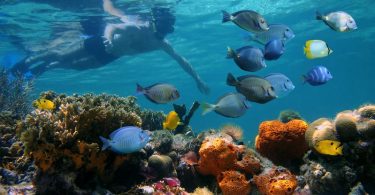Two Jamaican Locations Named in USA Today Best Snorkeling Spots in the Caribbean