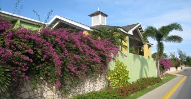What to Know Before You Buy Property In Jamaica