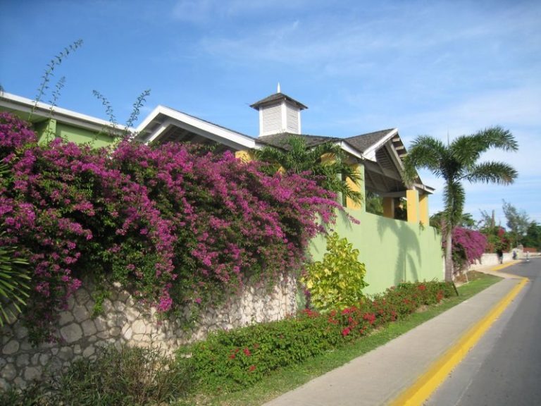 What to Know Before You Buy Property In Jamaica