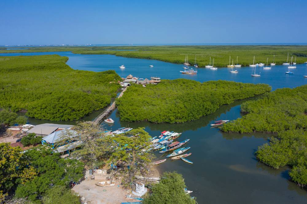 Whats It Like Being a Jamaican Living in Senegal - Mangrove