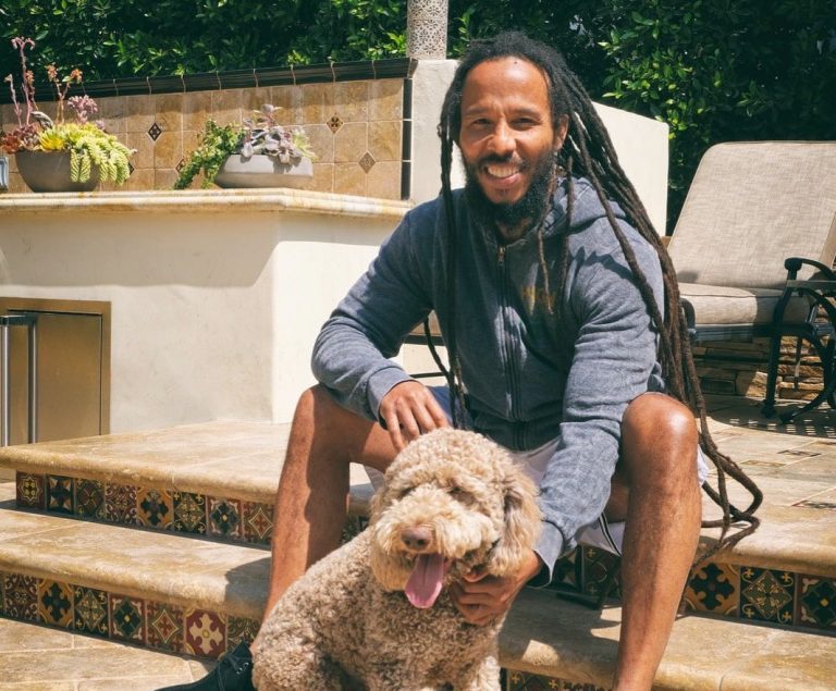 Ziggy Marley Launches Vegan CBD Wellness Product Line for Pets