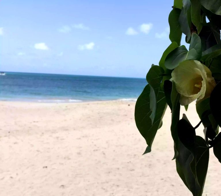 best beach caribbean jamaica