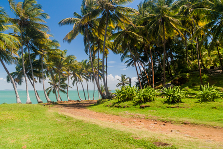 French Guiana Path