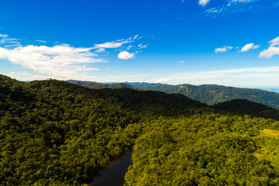 Guyana Landscape